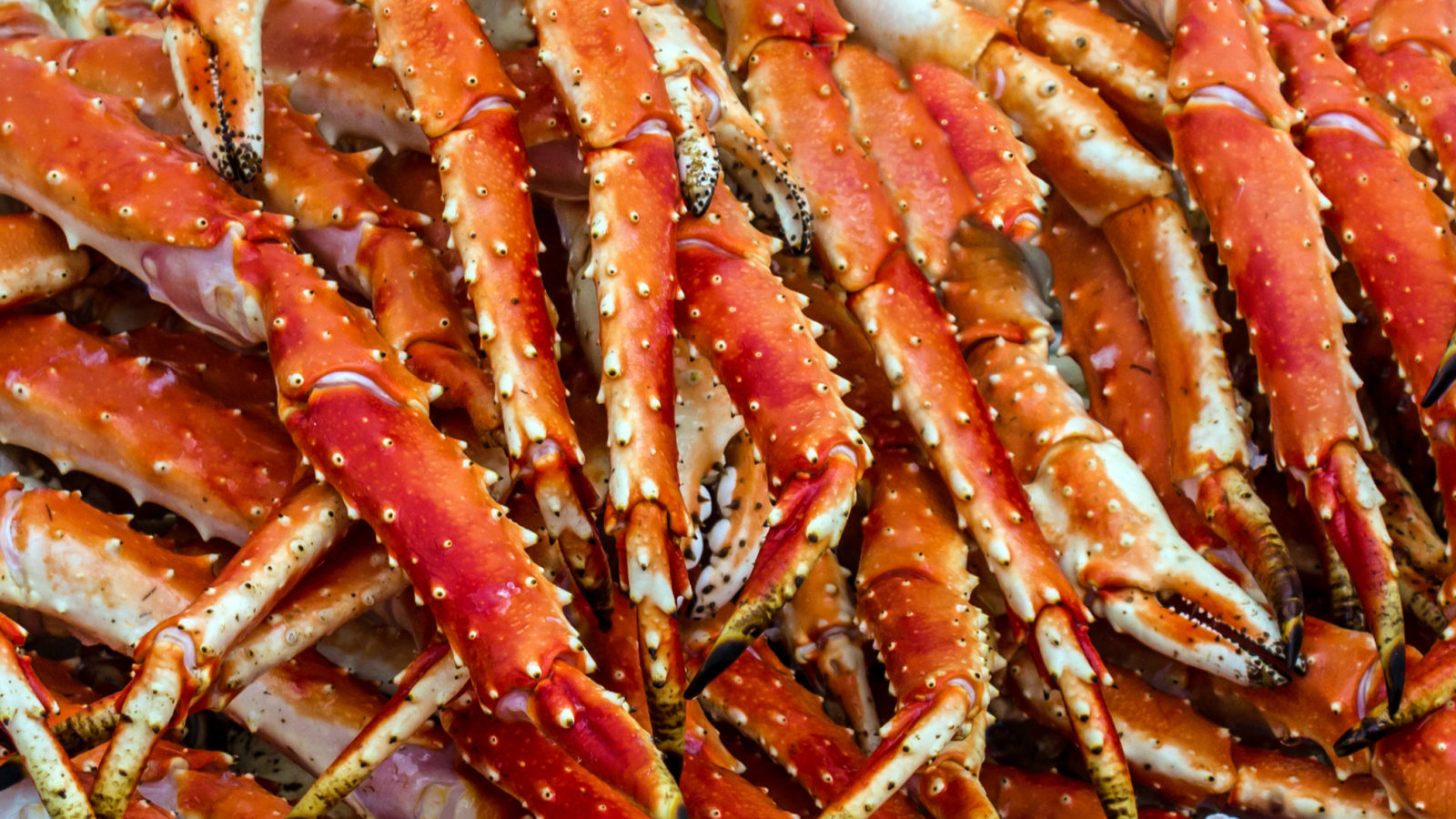 Meat of king crabs in Bergen fish market, Norway