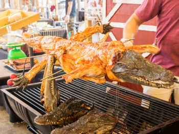 Whole alligator on the grill.